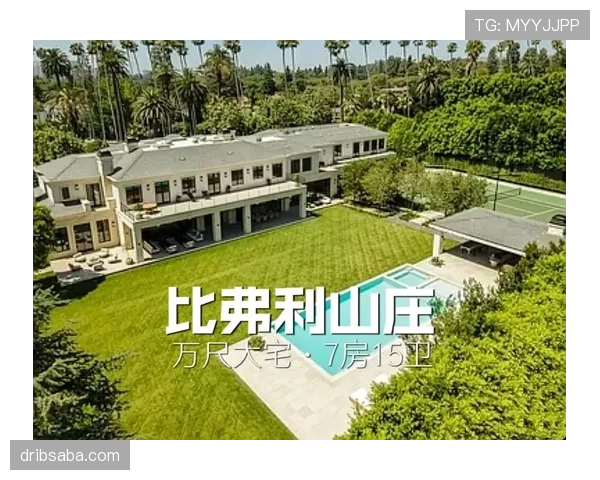 大阪刚买下比弗利山那栋豪宅，月供比我年薪还高